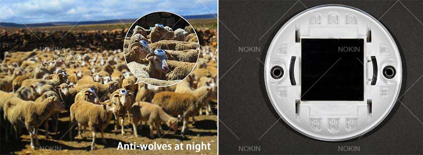 Solar Road Marker Lights Protect Your Flocks